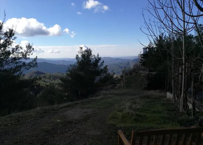 ベッド・アンド・ブレックファスト Heaven Of *