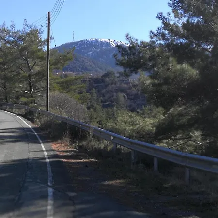 Heaven Of * Prodromos