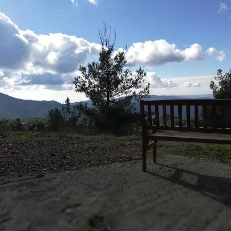 Heaven Of * Prodromos