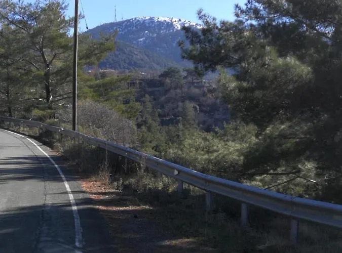 Heaven Of * Prodromos