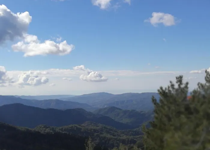 Heaven Of Bed & Breakfast