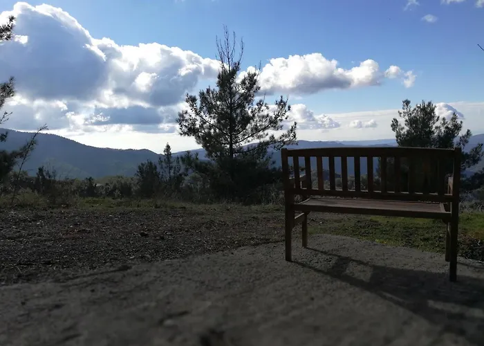 Heaven Of * Prodromos