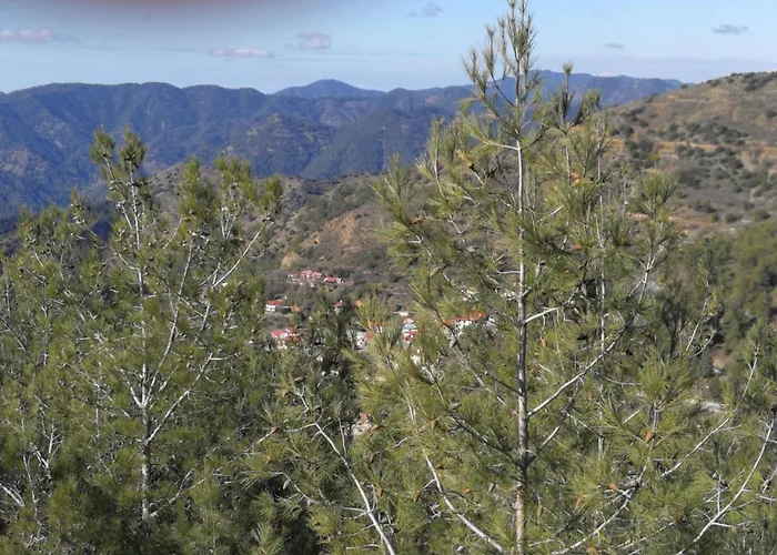 Heaven Of Oda ve Kahvaltı